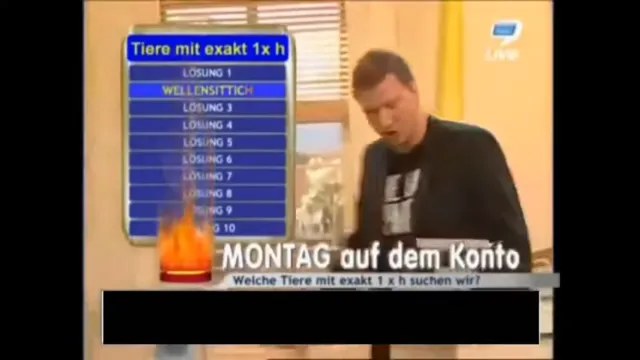 Habicht at 00:00 — SCHRADIN