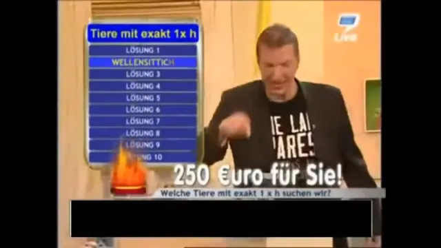 Habicht at 00:04 — SCHRADIN